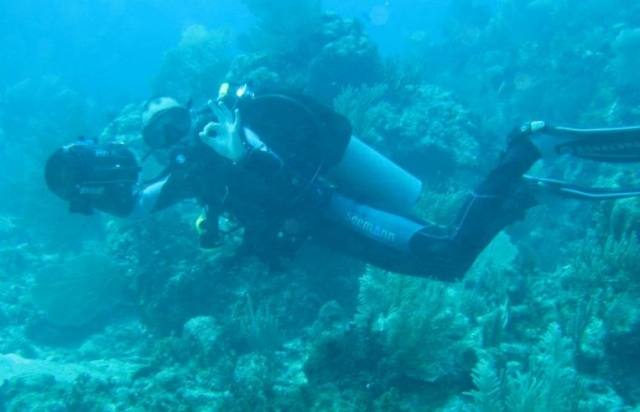  Reef diving 